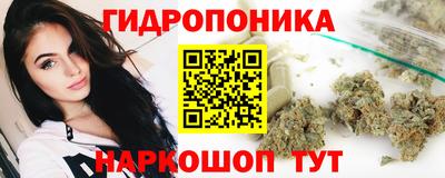 PSILOCYBIN Камышлов