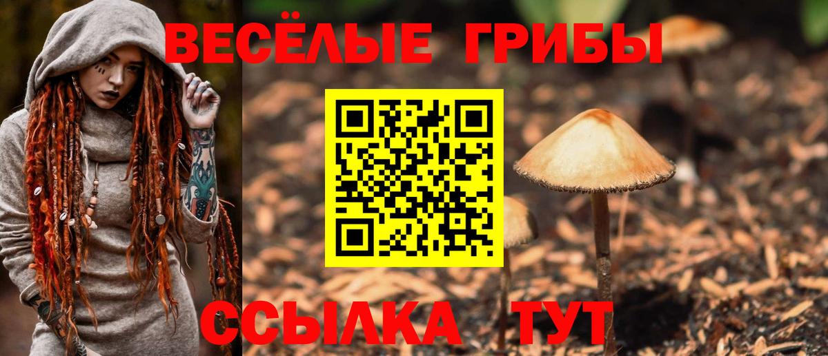 Минеральные Воды  Псилоцибиновые грибы мицелий  Вход с VPN 