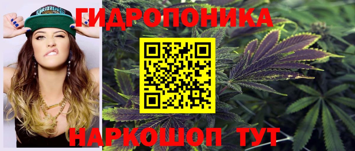 Конопля Ganja  МАРИХУАНА Bruce Banner  Вход с VPN  Бошки марихуана Amnesia  Минеральные Воды  Бошки Шишки тримм 